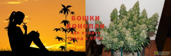 молекула духа Киренск