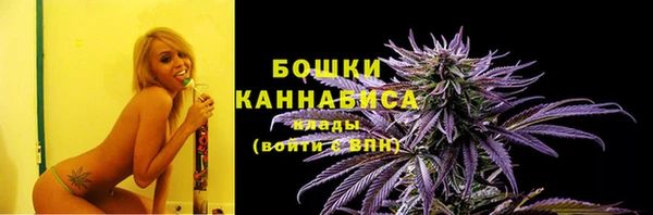 молекула духа Киренск