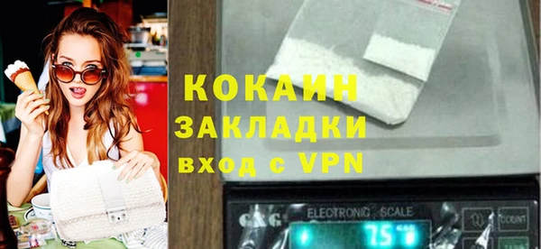 дживик Козельск