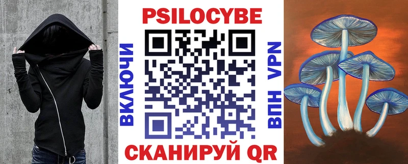 Галлюциногенные грибы Psilocybe  Купить закладки  Вольск 